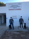 Realizan canes detectores de COVID-19 pruebas en Empalme y Guaymas