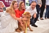 Se presenta Programa Integral de Salud Animal.