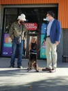 Iniciarán en Sonora fase de prueba caninos detectores de COVID-19