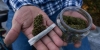 Se agota tiempo para aprobar uso lúdico de la marihuana