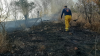 Sofocan incendio forestal en sierra de Álamos; siguen trabajos en sierra alta de Aconchi