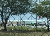 Aterriza de emergencia avión en Hermosillo por intento de suicidio